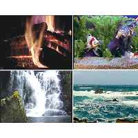 DVD Screen Saver - Aquarium & Fireplace Set