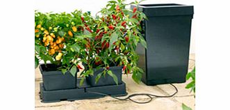 Easy 2 Grow Irrigation Kit