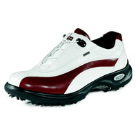 Ecco Casual Swing GTX