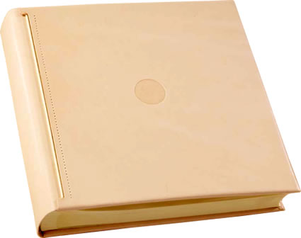 Luxury Leather Wedding Album