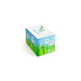 Laundry Liquid Non Bio 15 Litre