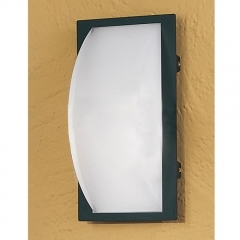 Park Anthracite Exterior Wall Light