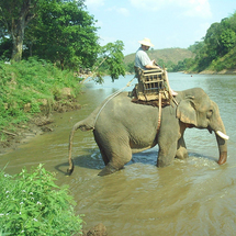 Adventure, Hilltribe and Mae Kok River