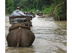 Jungle Trek & River Rafting - Child