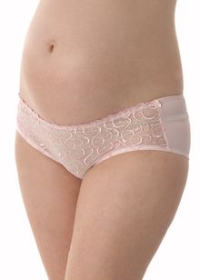 Sophia brief