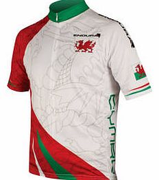 Endura Coolmax Wales Flag Jersey