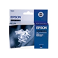 Epson Photo Black - R800