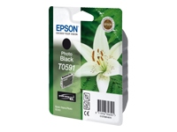 EPSON T0591