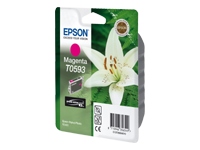 EPSON T0593