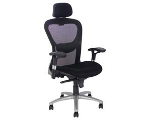 Ergo Mesh back