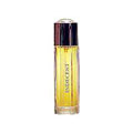 Indecent EDP 100ml