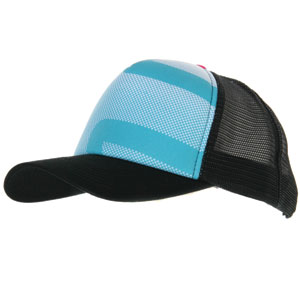 Etnies Vice 2 Trucker cap