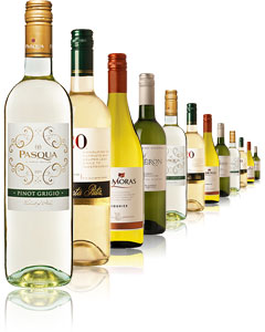 Everyday Favourite Whites 12 x 75cl Bottles