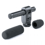 Directional Microphone