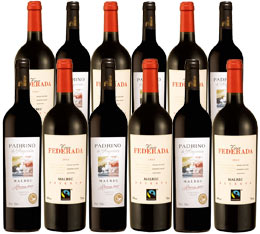 Fairtrade Malbec Showcase - Mixed case