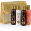 Fake Bake Travel Kit