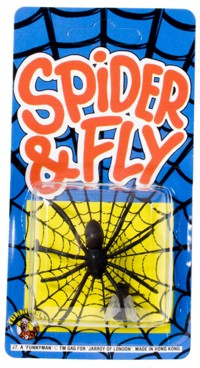 Spider and Fly