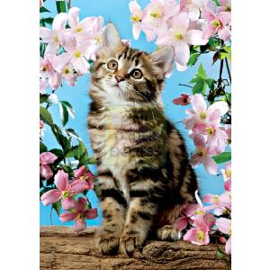 Falcon Cat in Blossom 500 Piece Jigsaw Puzzle