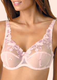 Fayreform Beauty Underwired bra