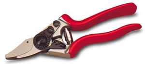 Felco Pruner No6