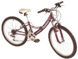 findathing247 Silverfox Fantasy Girls Bike