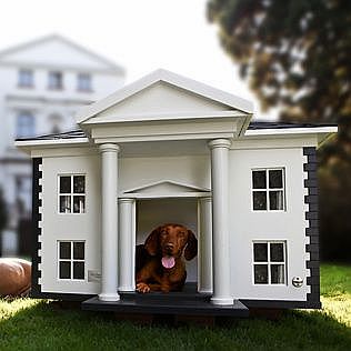 Dog Mansion