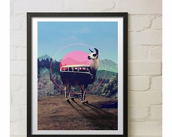 Llama (Large in a Black Frame)