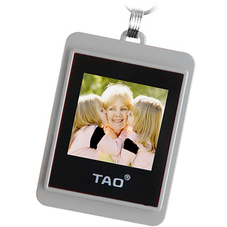 Firebox Tao Digital Photo Keychain (Silver)