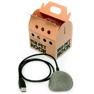 Firebox USB Pet Rock