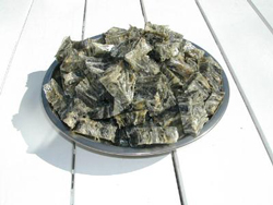 fish4dogs Sea Jerky:100g