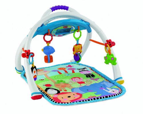 Fisher-Price Deluxe Apptivity Gym