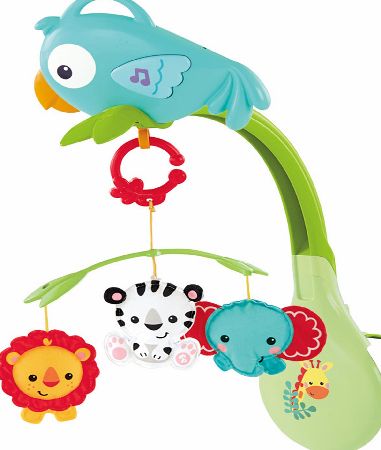 Rainforest Friends 3-in-1 Musical