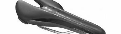 ARDEA VERSUS SADDLE 2012