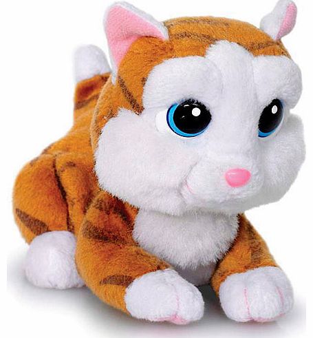 Flair Emotion Pets Little Cuddles - Cherry the Cat