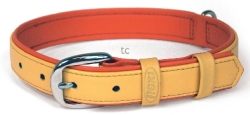 Flexi Summertime Medium Collar (Orange)