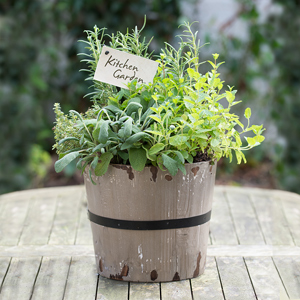 Flowers Direct Kitchen Garden