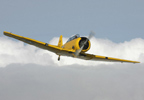 20 Minute Warbird Flight