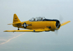 40 Minute Warbird Flight