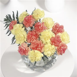 Flying Flowers Oranges and Lemons Extra