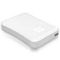 160GB DISK MINI HDD USB2 2.5`` FIREWIRE