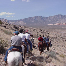 Ridge Morning Canyon Rim Trail Ride - Adult