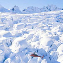 Fox Glacier Helicopter Flight - Adult