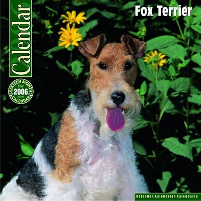 Fox Terrier Calendar