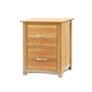 Home Office Oak 2 Drawer Filing Cabinet