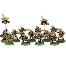 Games Workshop Tau Fire Warriors