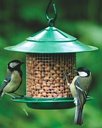 All Round Nut Feeder