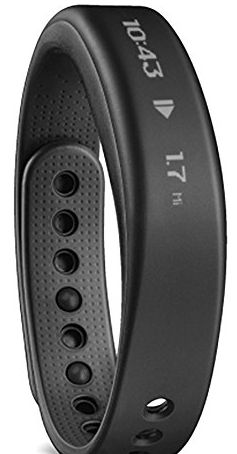 Garmin Large Vivosmart Activity Tracker with Smart Notification - Black