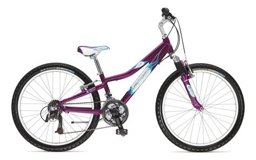 Gary Fisher Tyro Girls 2006 Kids Bike