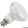 60W Spot Bulb 240V