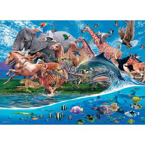 s Migration 1000 Piece Jigsaw Puzzle